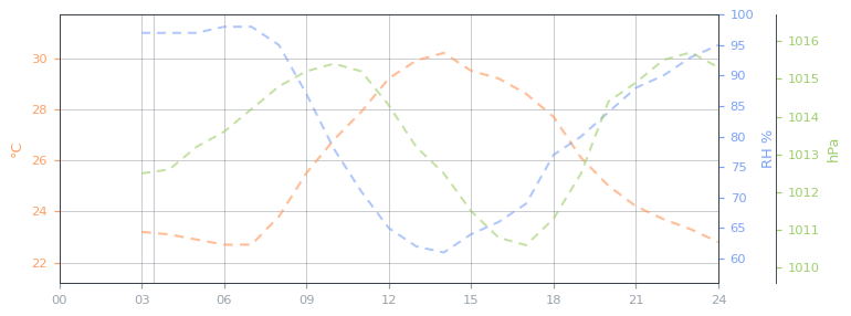 24 h temperature and humidity